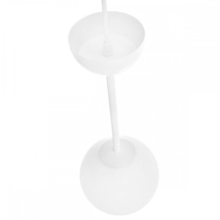 export.jpg