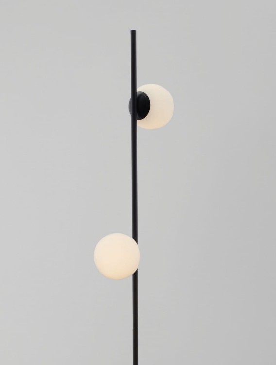 le43312_2.jpg