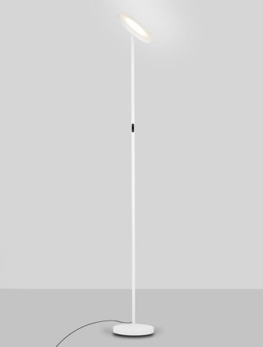le44292.2.jpg