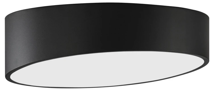 le41557.jpg