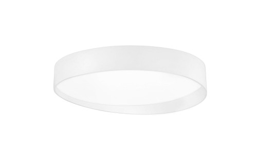 le41564.jpg