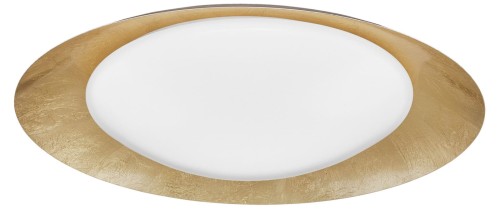 le41580.jpg