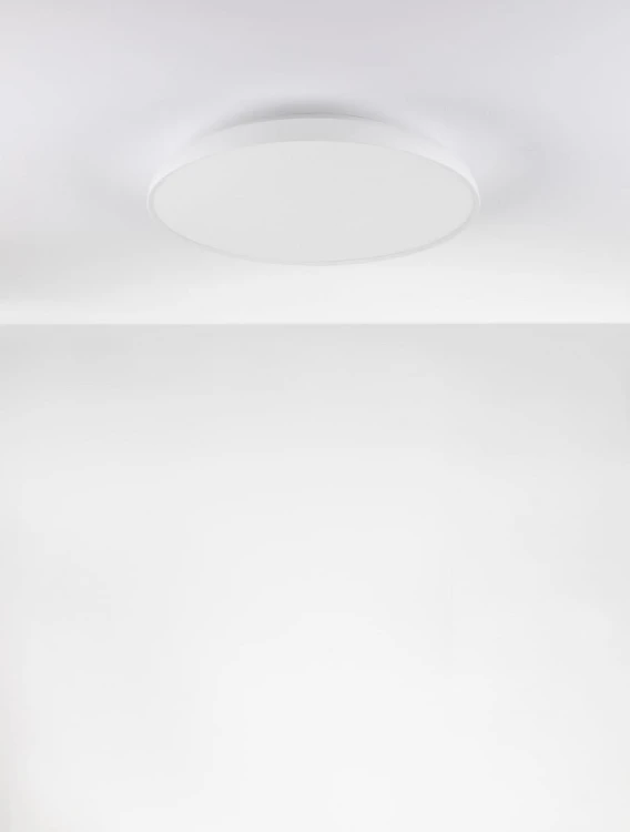 le43540.3.jpg