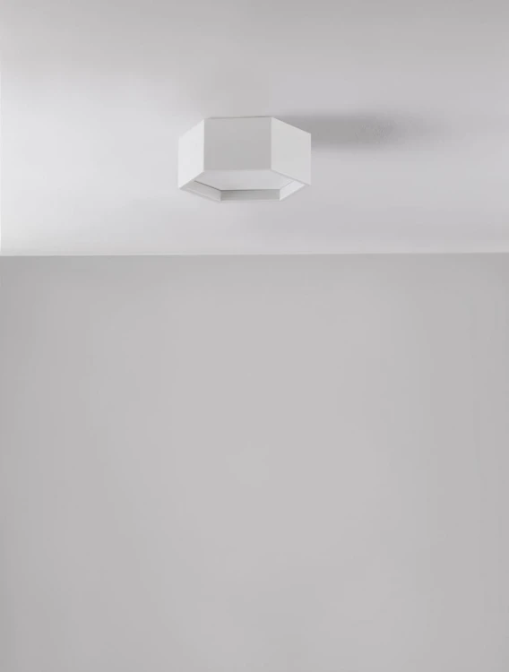 le43601.3.jpg