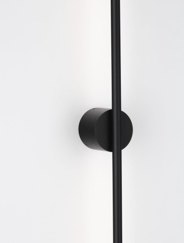 le43241_1.jpg