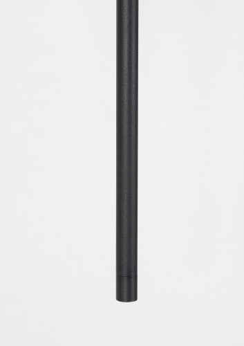 le41355.1.jpg