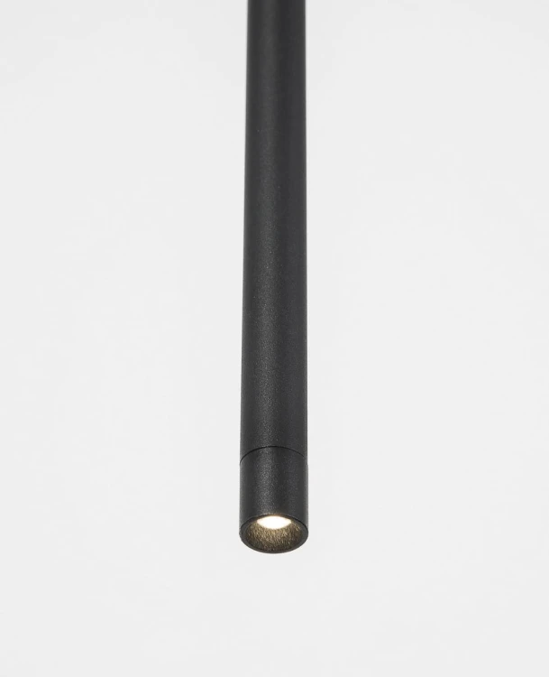 le41355.2.jpg