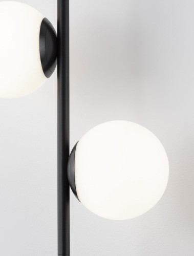 le43308_1.jpg