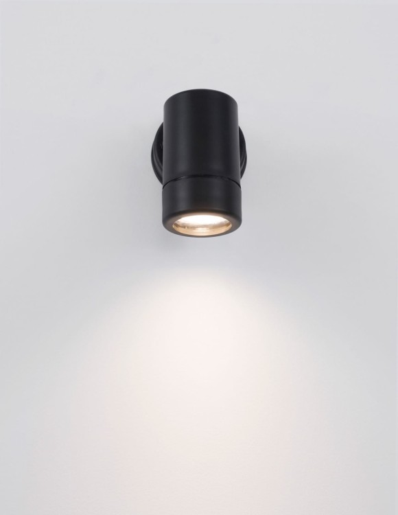 le71600.1.jpg