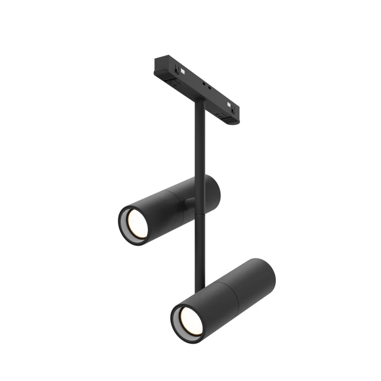 RENDER_TR005-2-2X12W3K-B_on_w_standard.jpeg