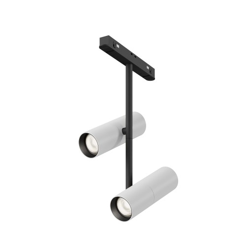 RENDER_TR005-4-2X12W-DS-BW_on_w_standard.jpeg