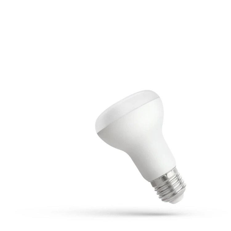 WOJ--13990,img01.jpg