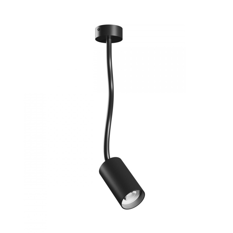 SLIP006026,img01.jpg