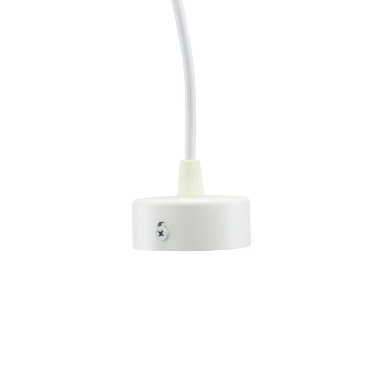 SLIP003022,img06.jpg