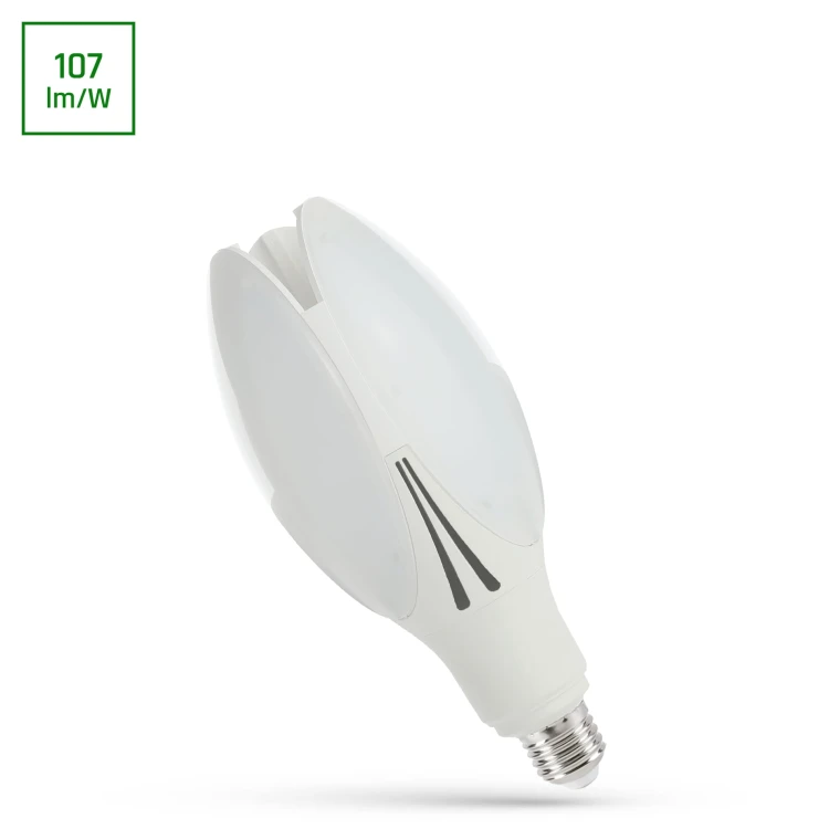 WOJ--80720,img01.jpg
