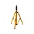 ACC--050007,img01.jpg