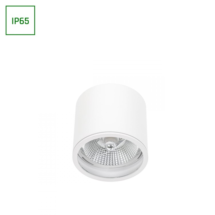 SLIP005031,img01.jpg