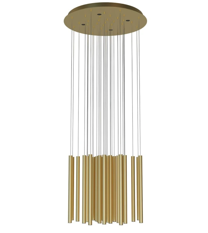 w5pldsORGANICP0476D_1.jpg