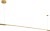 qtrau6ORGANICHORIZON-P0360_1.jpg