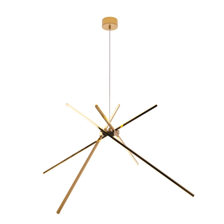 yba19xspider-P0457.jpg