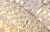 h01l57PUCCINI-C0129_2zoom.jpg