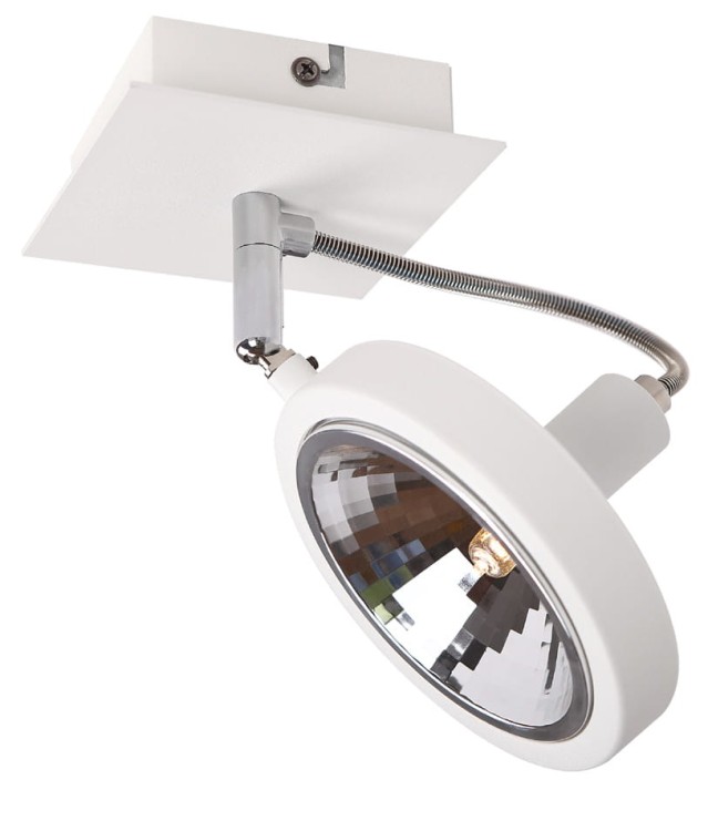 bzv5grREFLEX-C0139_1.jpg
