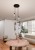 679_4prem-5.jpg