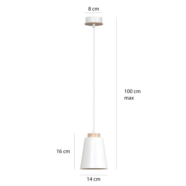 443_1-5.jpg