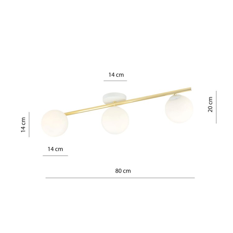 1249_3-5.jpg
