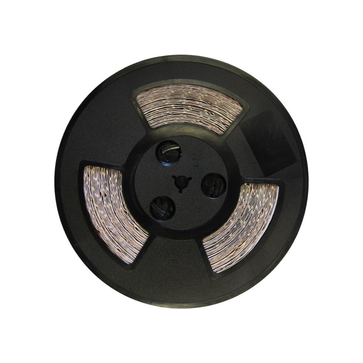 ekpl521$b.jpg