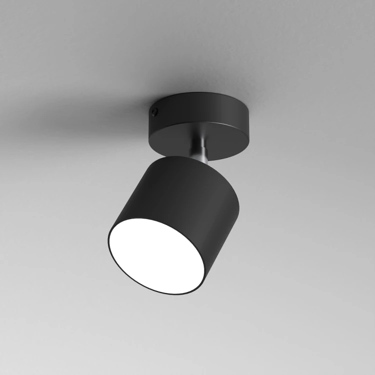 mlp7599$b.png