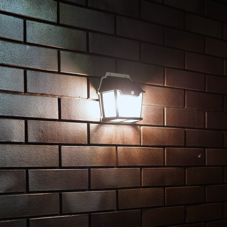 eko0731$c.png