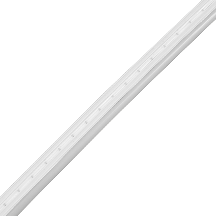 ekf1029$c.png