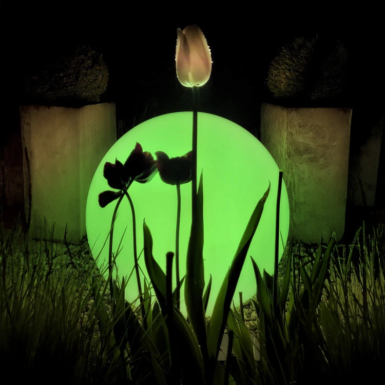 eko1365$d.png