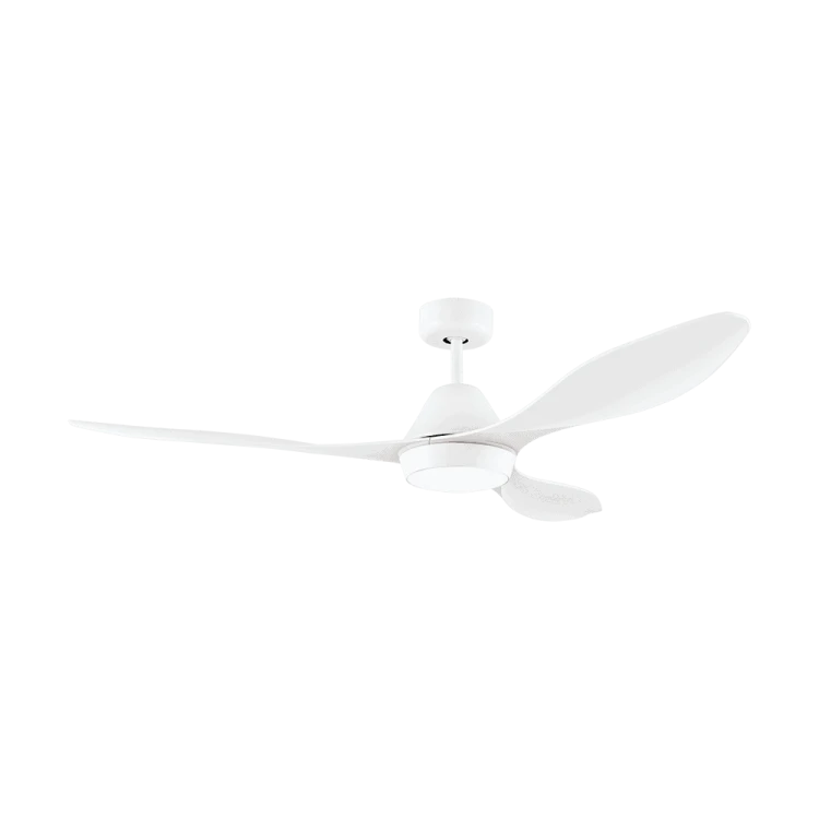 35b07e2b8756fe9791f4f2be103666d9.png