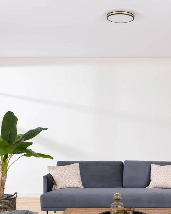 9725f5f428a16b724608552f73bad366.jpg