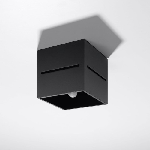 0207-2-k.jpg