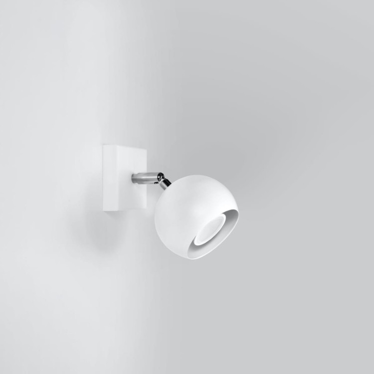 0437-2-k.jpg