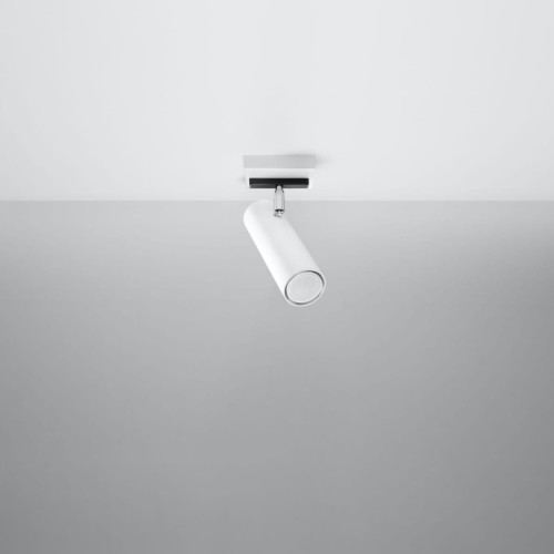 0495-2-k.jpg