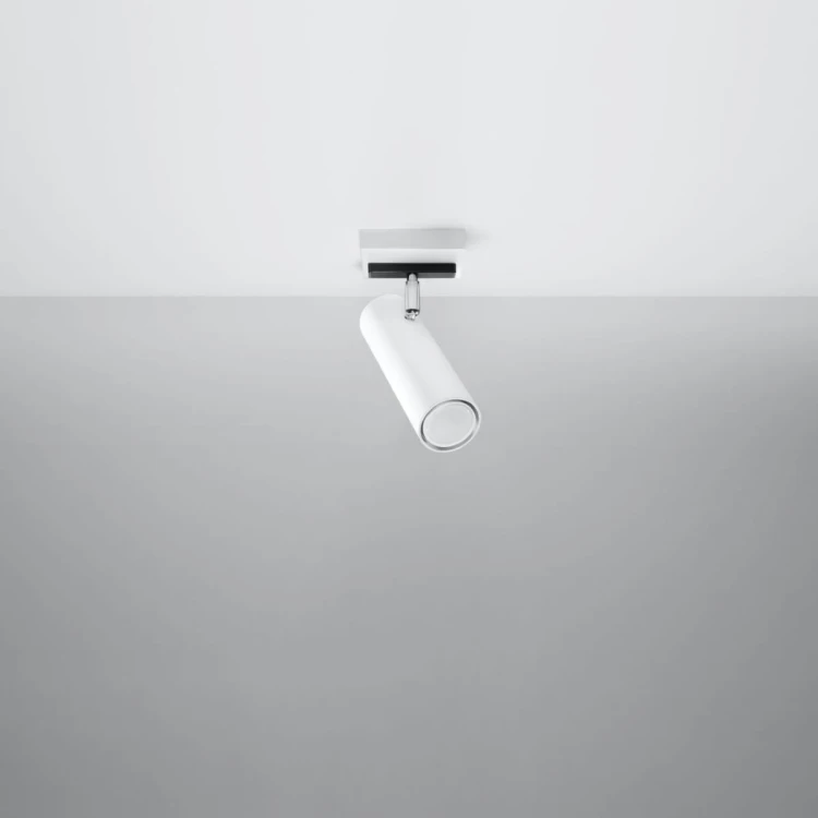 0495-2-k.jpg