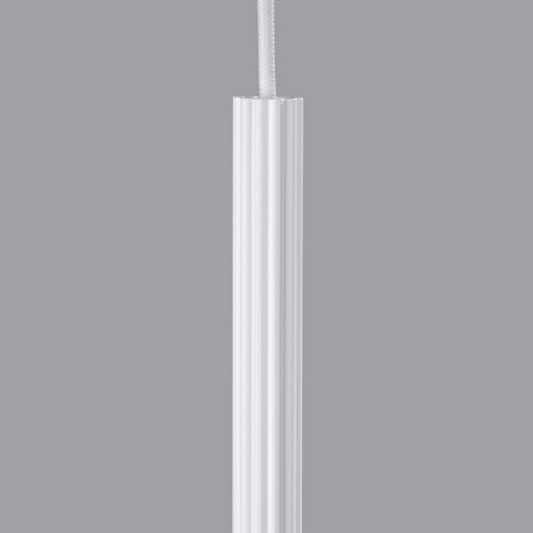 1337-4d-k.jpg