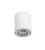 02ede9b9fb16d1eb3ac8c28f6eb6ea85.webp
