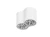 ac1dc311a29e004ae2d753f2bfd1a360.webp