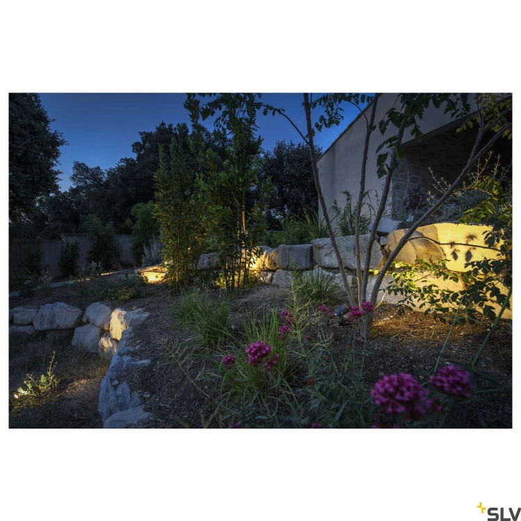 slv_1002201_a2_rgb.jpg