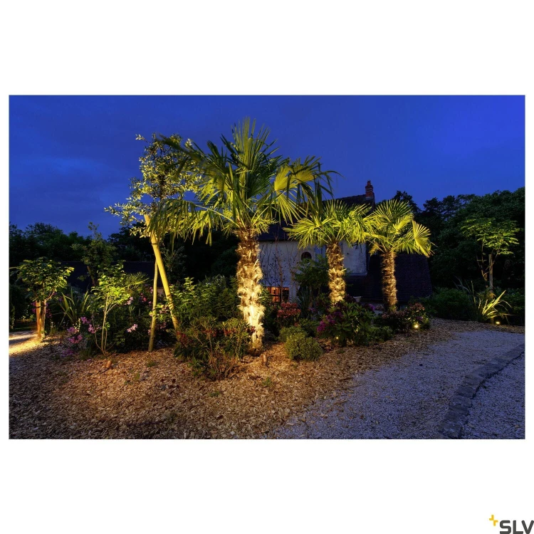 slv_1002203_a2_rgb.jpg