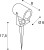 slv_1002203_msz.jpg