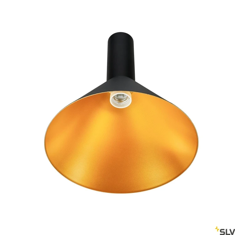 slv_1002949_d1_rgb.jpg