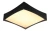 2fbb4aee201e529b798b37b0a249ac22.webp