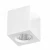 5501819f31b2d190860c12daf1e63a59.webp