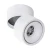 cca2962dac19499cfbf9080747ff54bc.webp